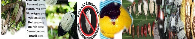 Minha Figura